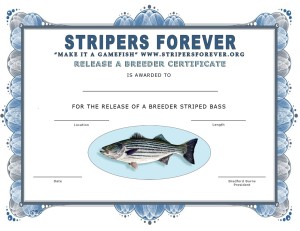 Stripers4EVERreleaseCertFINAL4x8FLAT