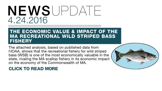 2016_04_24_MA_REC_REPORT_V002