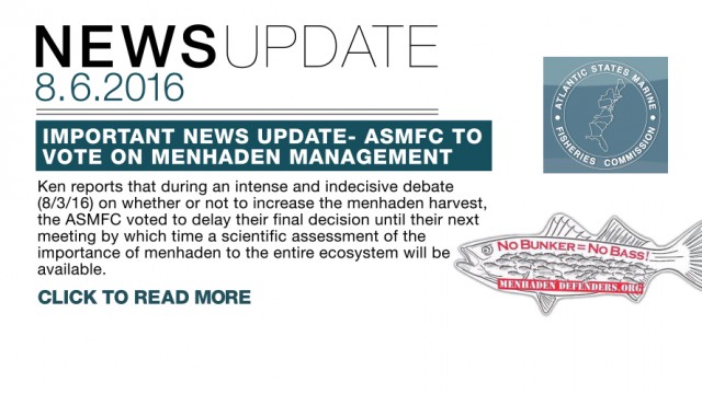 2016_08_06_NEWSUPDATE_MENHADEN_V002