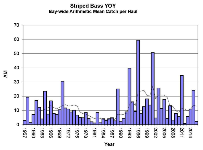 sb_yoy_graph