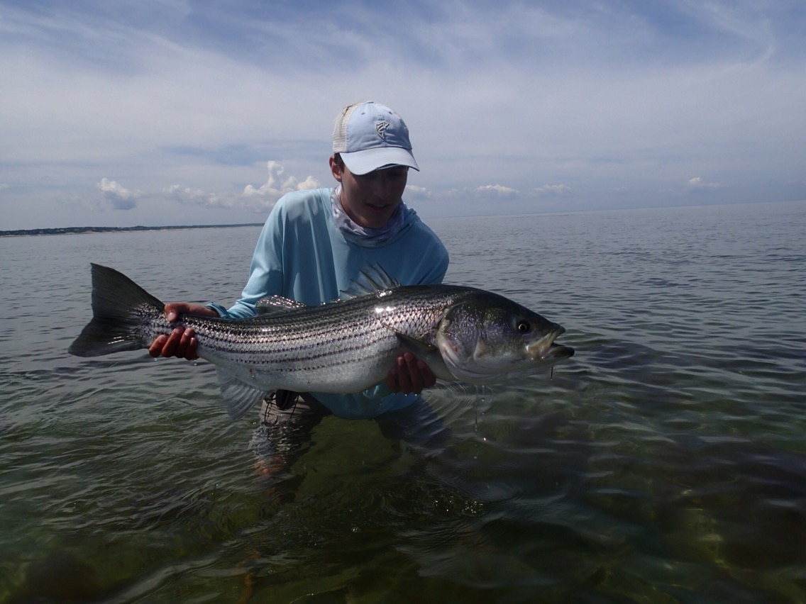 Cape Cod Flats Fishing with Captain Alex Gotlieb (2019) Stripers Forever