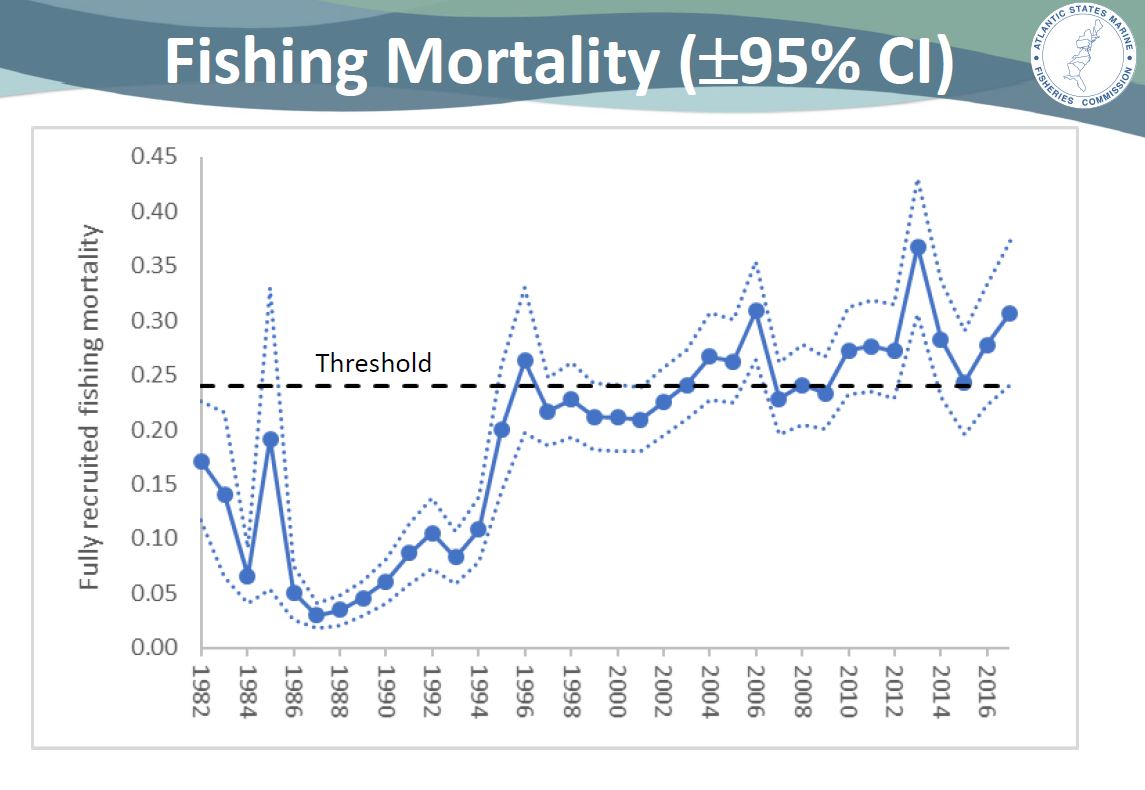 ASMFC ACCEPTS PRELIMINARY STOCK ASSESSMENT Stripers Forever